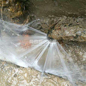 十堰消防管道漏水检测